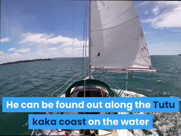 About Dr Dennis Shepherd Sailing & Fishing on the Tutukaka Coast